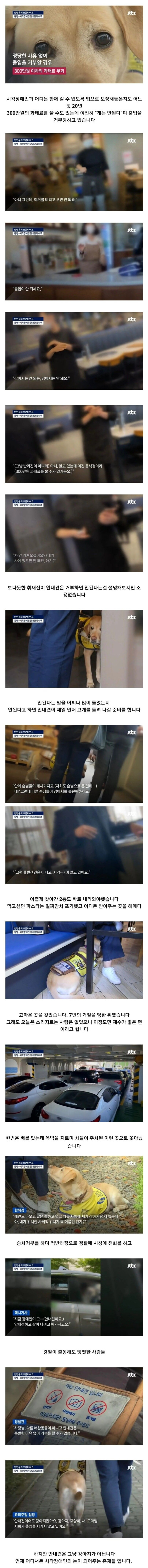 식사하려다 7번이나 거절당하는 안내견의 하루