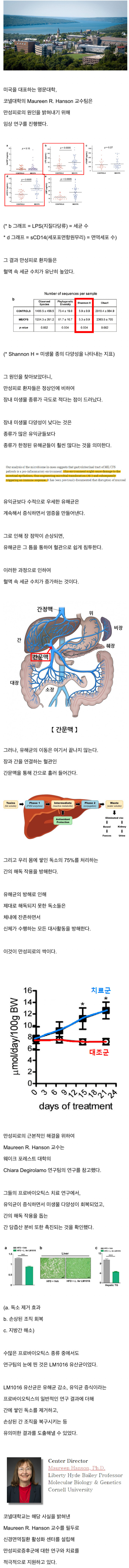 만성피로의 원인