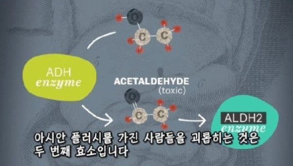 술 마시면 절대 안 되는 사람 특징