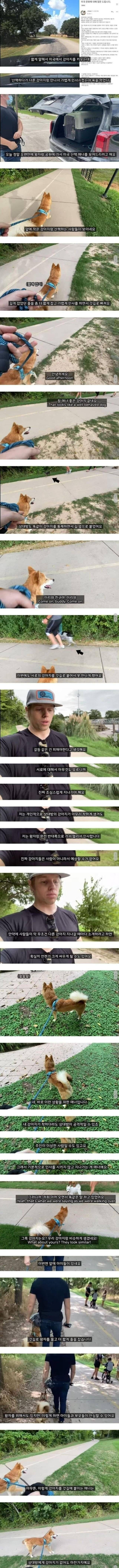 한국과는 다른 미국의 강아지 산책 문화