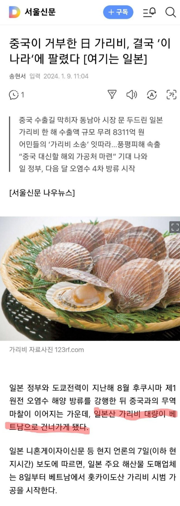 중국이 거부한, 일본산 가리비 근황...