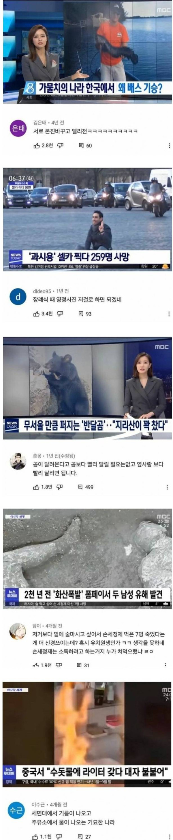 뉴스 댓글 베스트